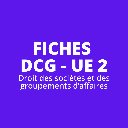 Fiches de révision DCG