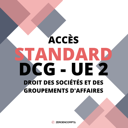 Standard DCG : accès à 1 UE (6 mois)